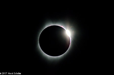 1/5000 Sek. bei f / 9,0 ISO 3200 700 mm