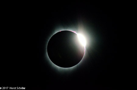 1/8000 Sek. bei f / 11 ISO 3200 700 mm